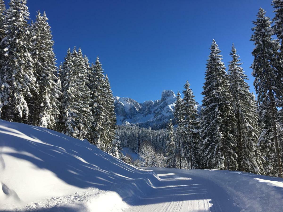 Apartment Kraemerhaus Annaberg, Dachstein West Buitenkant foto